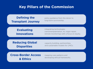 Lancet-Commission-Pillars_Aims